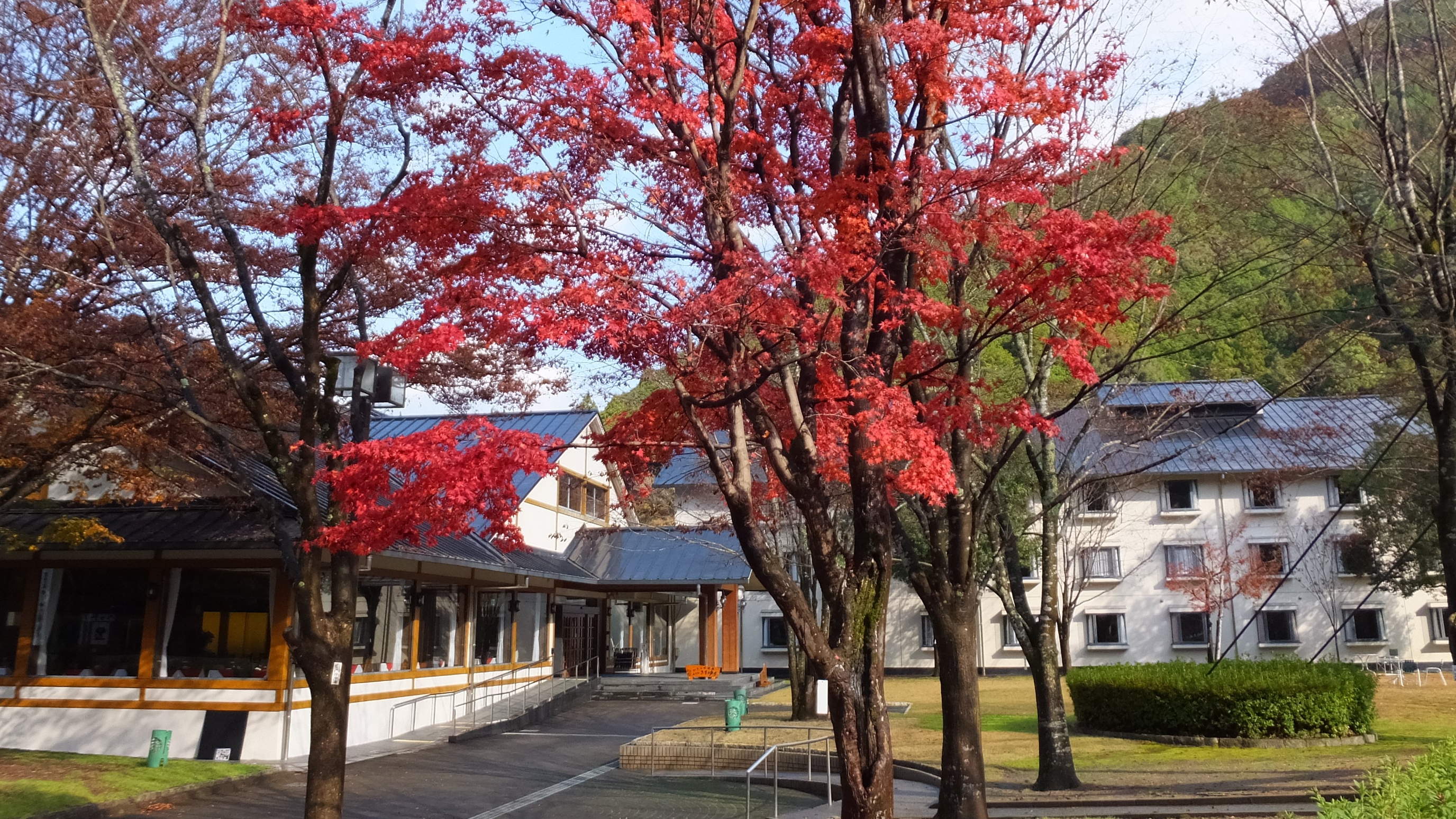渡瀬の夕べ、ひとりに戻る