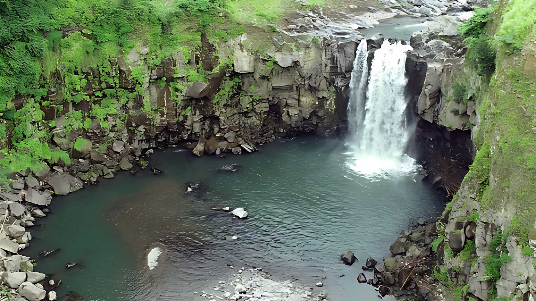 熊本で出会う、栃木の湯。